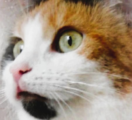 erna63 uploaded   321  day/s  ago