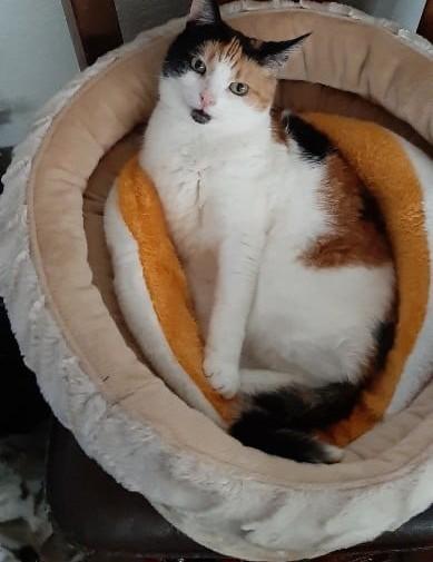 erna63 uploaded   242  day/s  ago