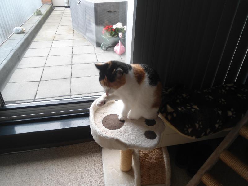 erna63 uploaded   318  day/s  ago