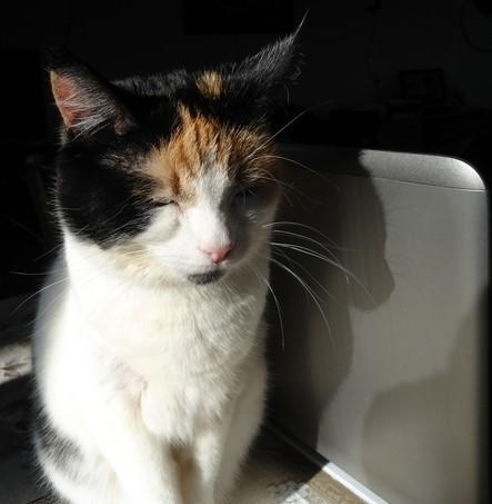 erna63 uploaded   330  day/s  ago