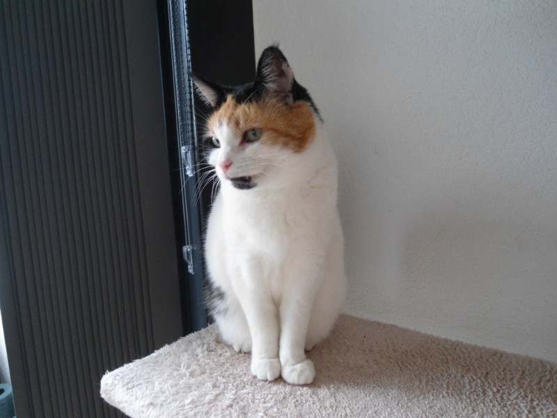 erna63 uploaded   328  day/s  ago