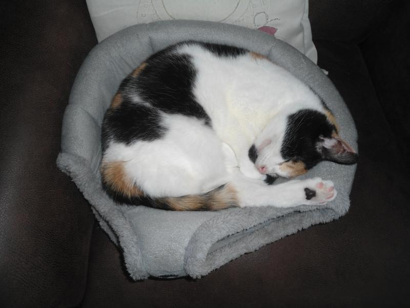 erna63 uploaded   323  day/s  ago