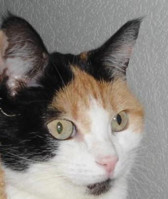 erna63 uploaded   323  day/s  ago