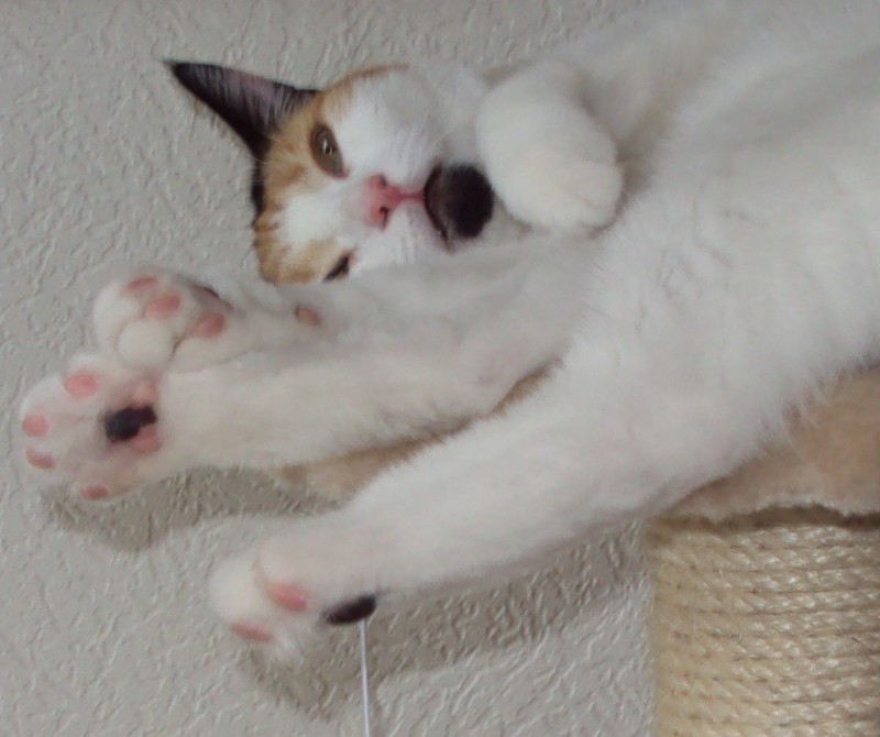 erna63 uploaded   345  day/s  ago