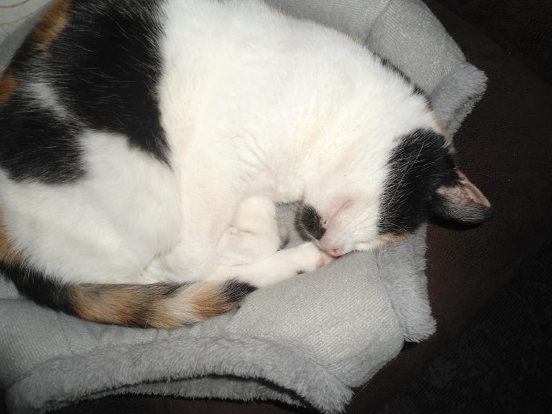 erna63 uploaded   317  day/s  ago