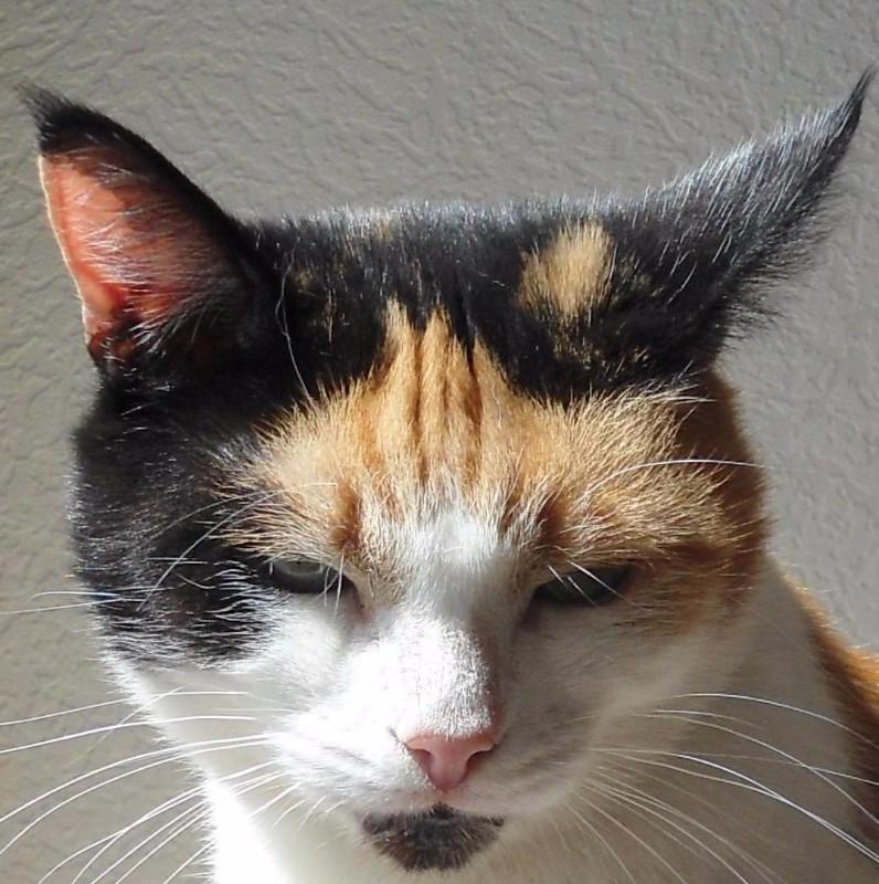 erna63 uploaded   315  day/s  ago