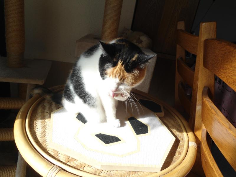 erna63 uploaded   315  day/s  ago