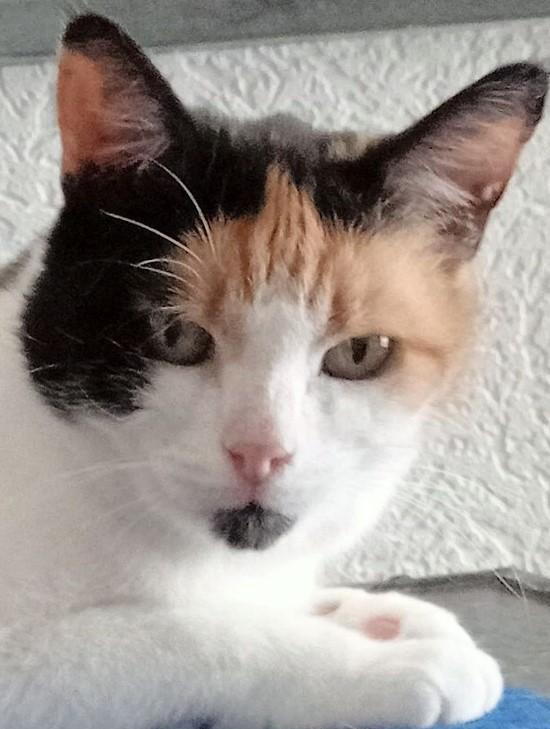 erna63 uploaded   314  day/s  ago