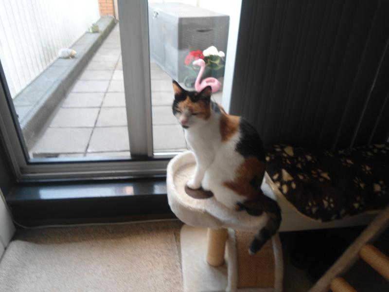 erna63 uploaded   309  day/s  ago