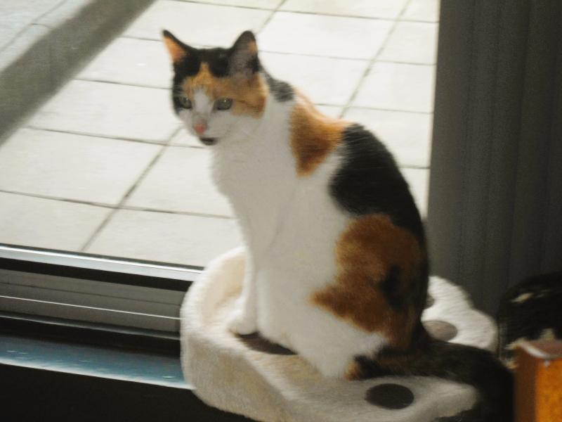 erna63 uploaded   306  day/s  ago