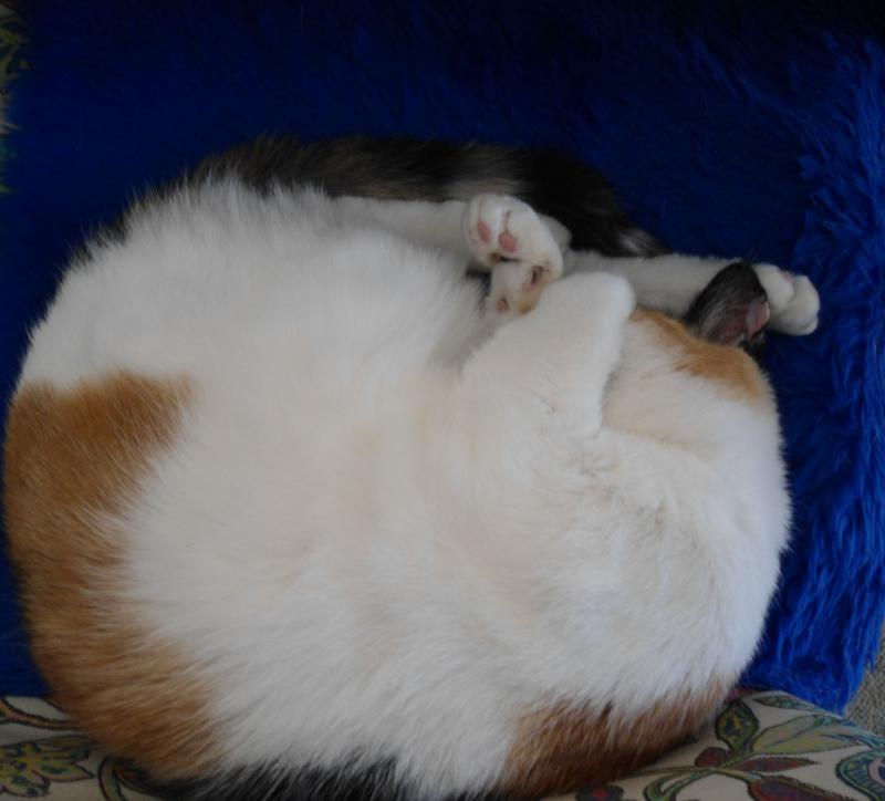 erna63 uploaded   303  day/s  ago