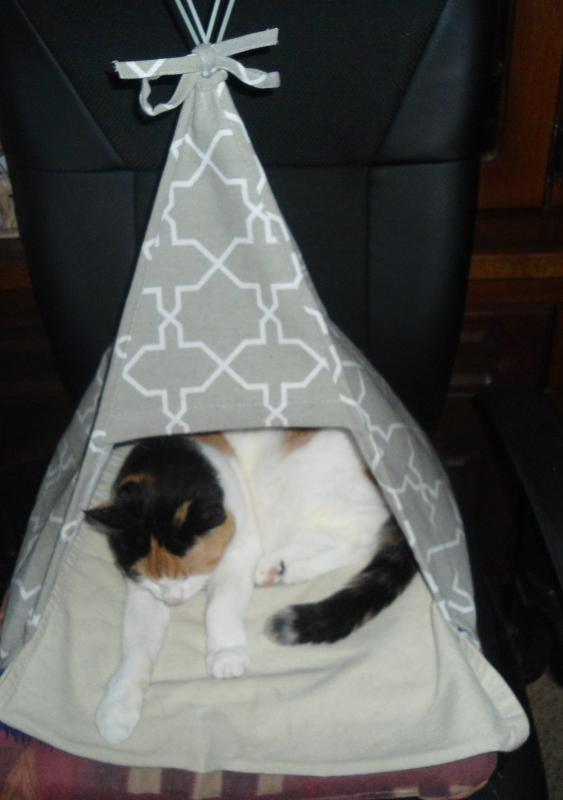 erna63 uploaded   303  day/s  ago