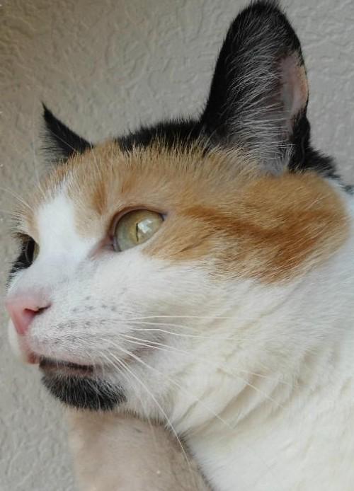 erna63 uploaded   301  day/s  ago