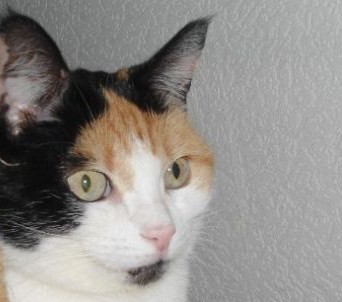 erna63 uploaded   301  day/s  ago