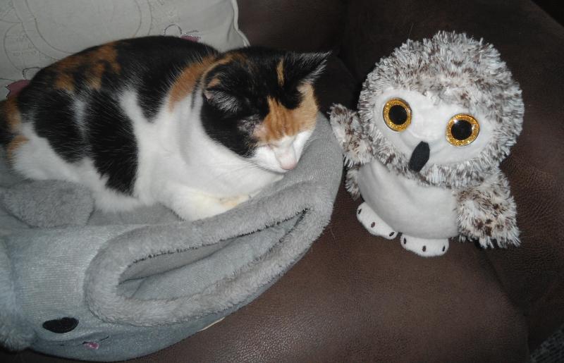 erna63 uploaded   290  day/s  ago