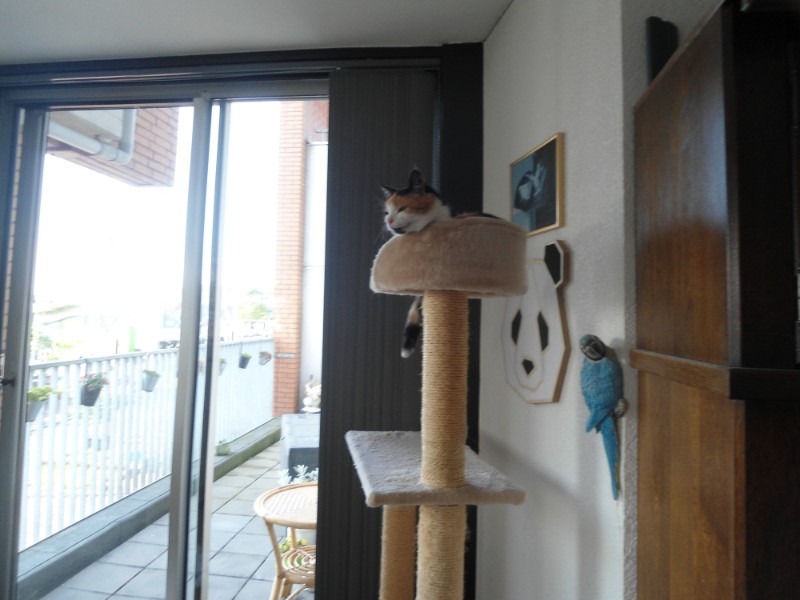 erna63 uploaded   284  day/s  ago