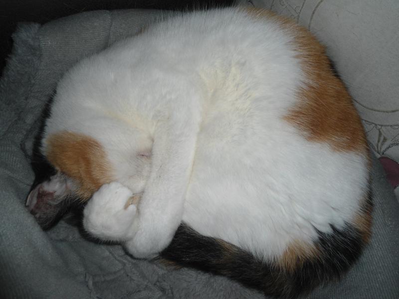 erna63 uploaded   284  day/s  ago