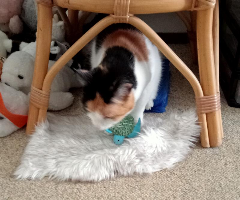 erna63 uploaded   281  day/s  ago