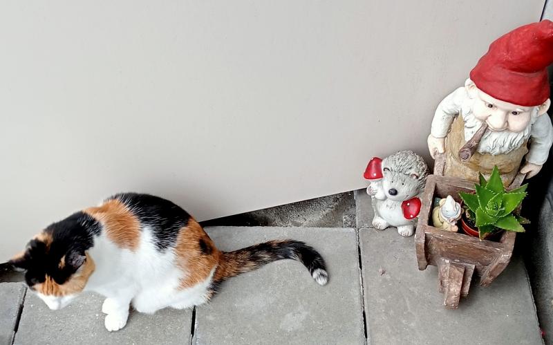 erna63 uploaded   281  day/s  ago