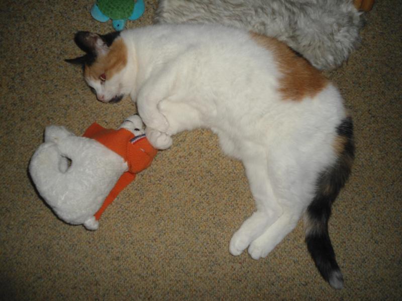 erna63 uploaded   281  day/s  ago