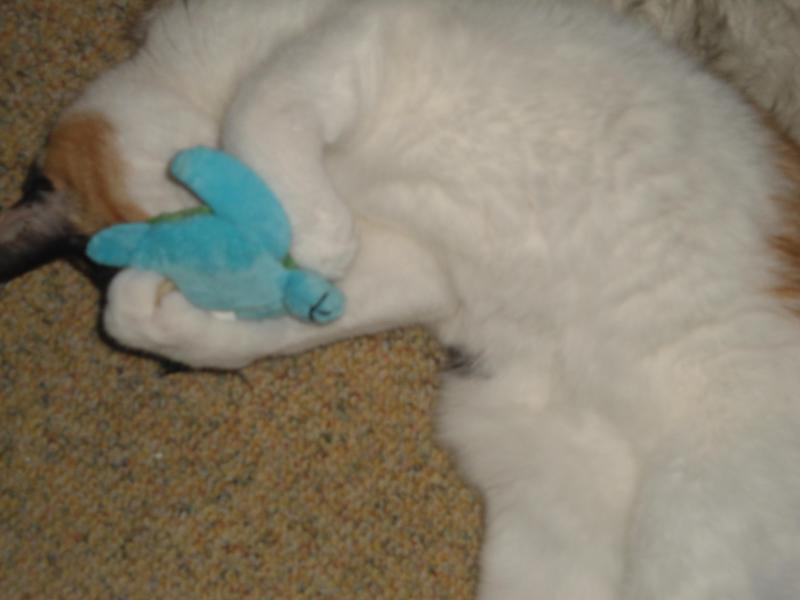 erna63 uploaded   281  day/s  ago