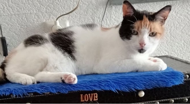 erna63 uploaded   277  day/s  ago