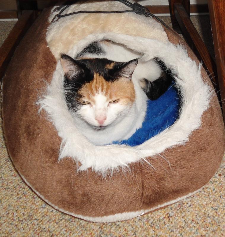 erna63 uploaded   277  day/s  ago