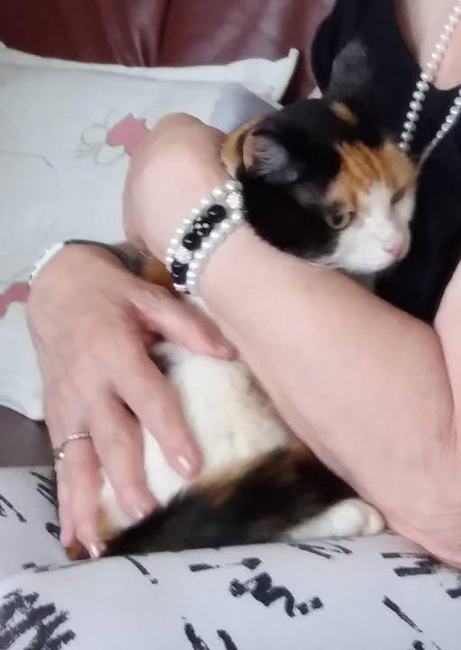 erna63 uploaded   276  day/s  ago