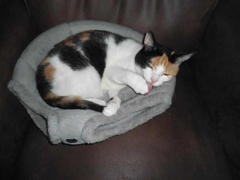 erna63 uploaded   274  day/s  ago