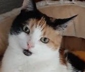 erna63 uploaded   272  day/s  ago