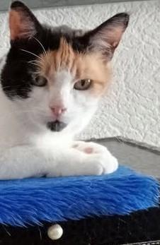 erna63 uploaded   272  day/s  ago