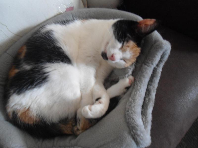 erna63 uploaded   271  day/s  ago