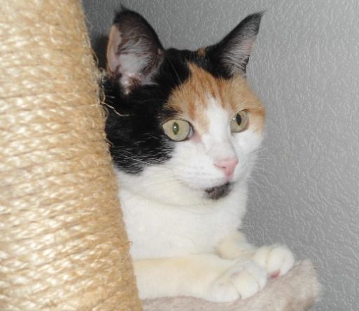 erna63 uploaded   268  day/s  ago