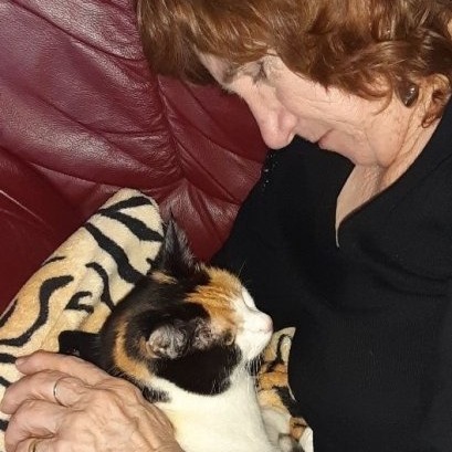 erna63 uploaded   262  day/s  ago