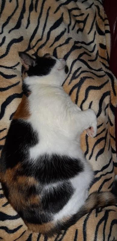 erna63 uploaded   260  day/s  ago