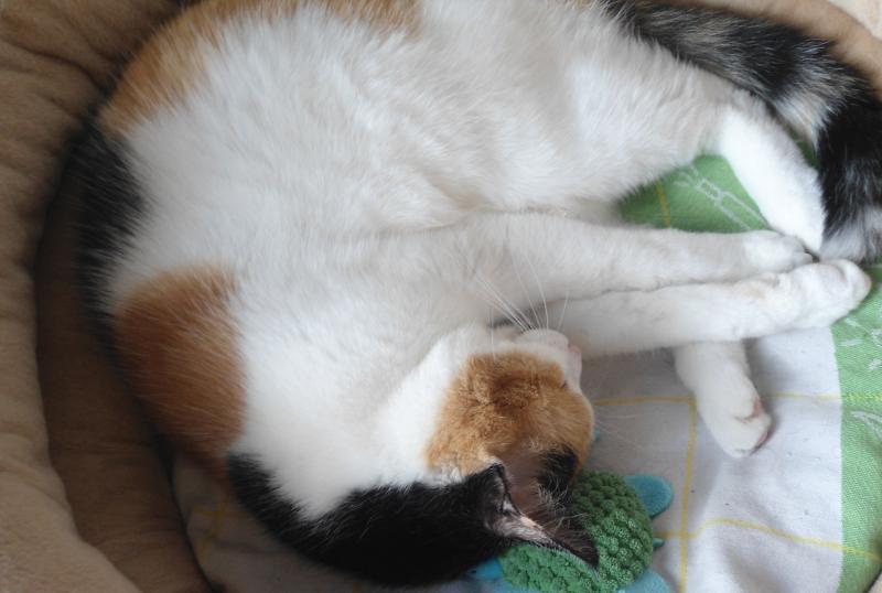 erna63 uploaded   260  day/s  ago