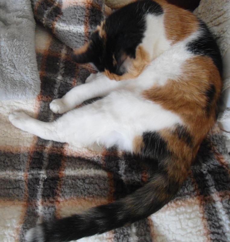 erna63 uploaded   260  day/s  ago