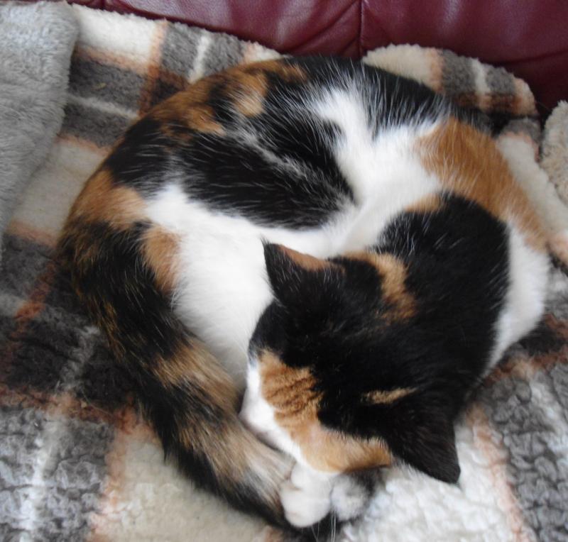 erna63 uploaded   260  day/s  ago