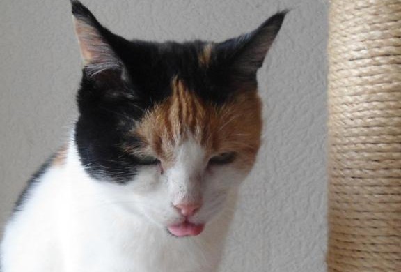 erna63 uploaded   203  day/s  ago