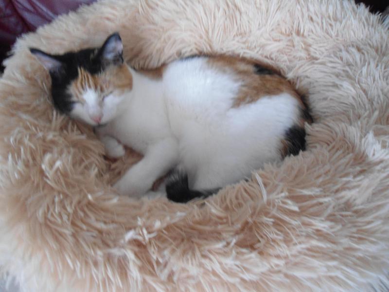 erna63 uploaded   201  day/s  ago