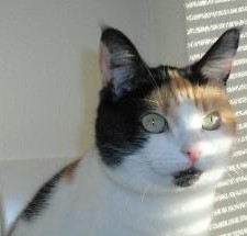 erna63 uploaded   201  day/s  ago