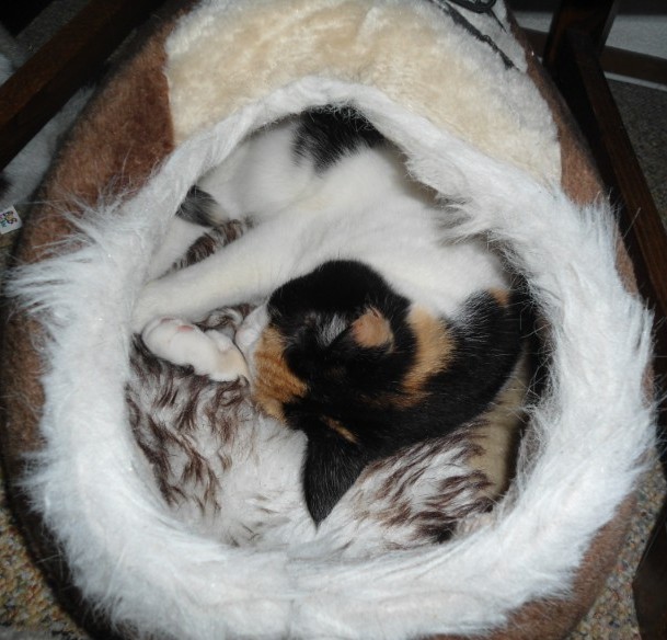 erna63 uploaded   201  day/s  ago