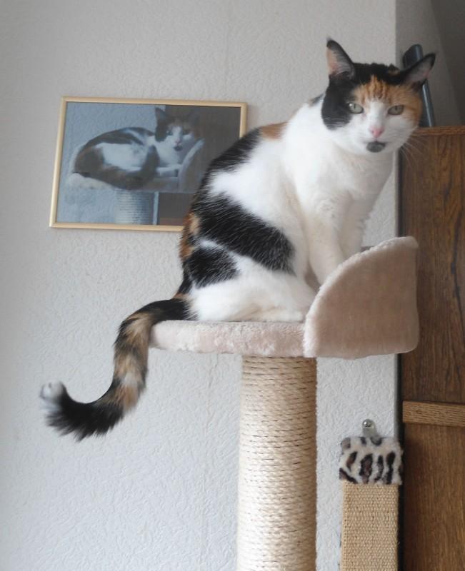 erna63 uploaded   201  day/s  ago