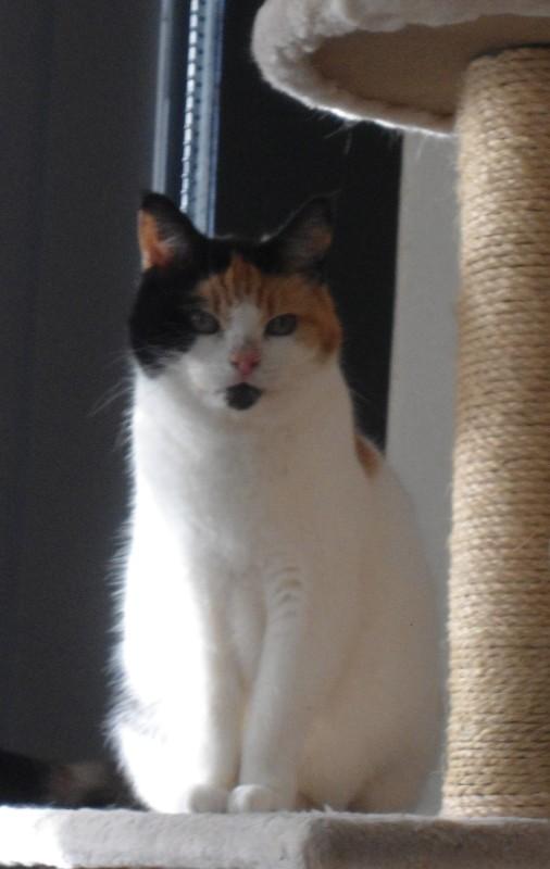 erna63 uploaded   256  day/s  ago