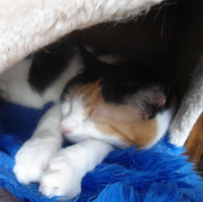 erna63 uploaded   248  day/s  ago