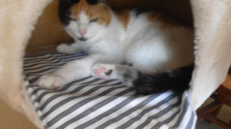 erna63 uploaded   245  day/s  ago