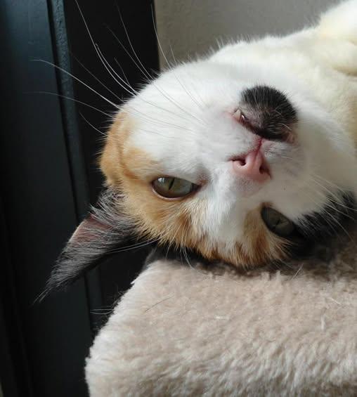 erna63 uploaded   245  day/s  ago