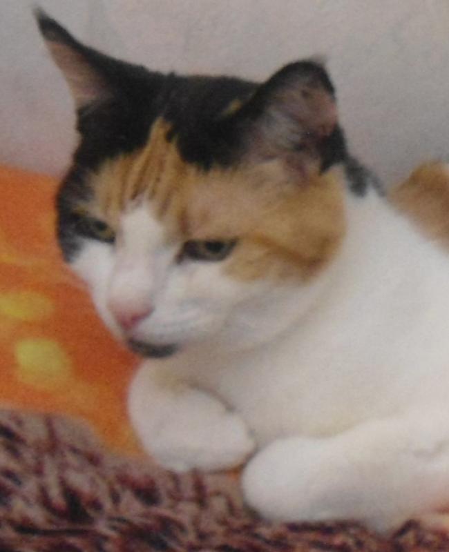 erna63 uploaded   243  day/s  ago