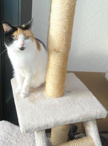 erna63 uploaded   226  day/s  ago