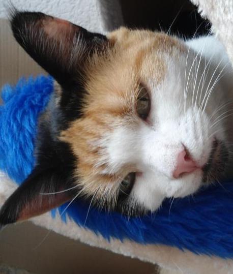 erna63 uploaded   221  day/s  ago